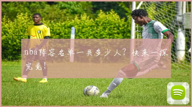 nba阵容名单一共多少人？快来一探究竟！