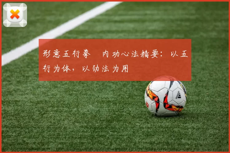 形意五行拳・内功心法精要：以五行为体，以劲法为用