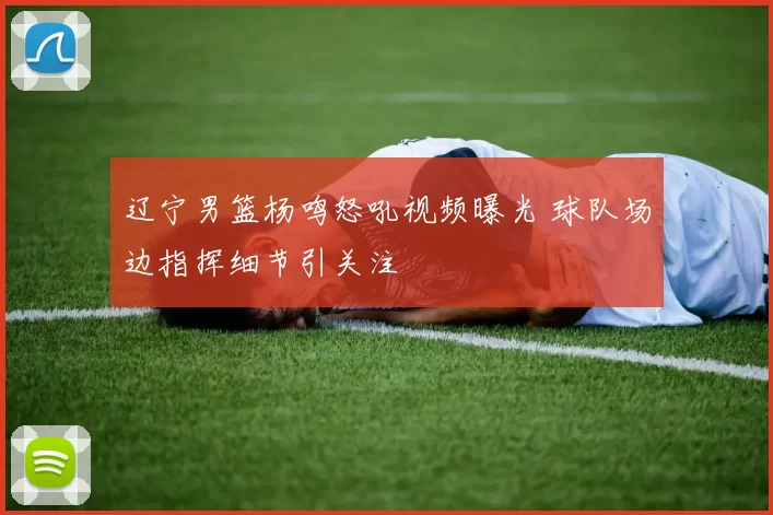 辽宁男篮杨鸣怒吼视频曝光 球队场边指挥细节引关注