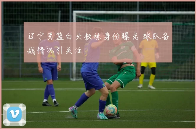 辽宁男篮白头教练身份曝光 球队备战情况引关注