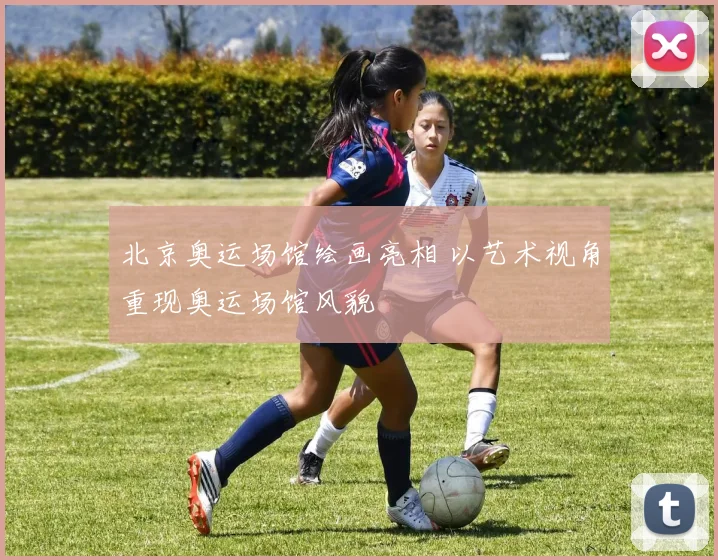 北京奥运场馆绘画亮相 以艺术视角重现奥运场馆风貌