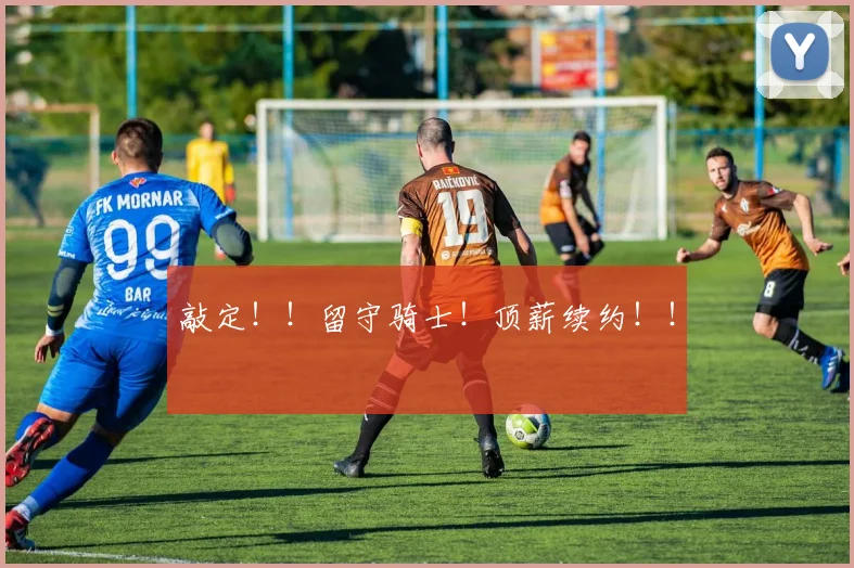 敲定!!留守骑士!顶薪续约!!